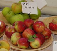 Rogers Maintosh æbler